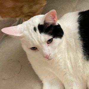 Meet your Posher, Emma